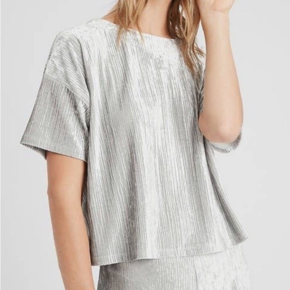 Banana Republic Silver Crinkle Velvet Top Size: Small